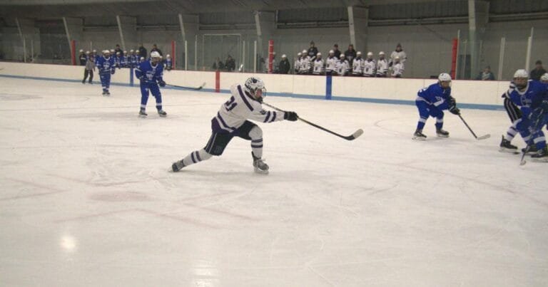 Three Bears earn all-league honors, two listed as honorable mentions for D2 boys hockey