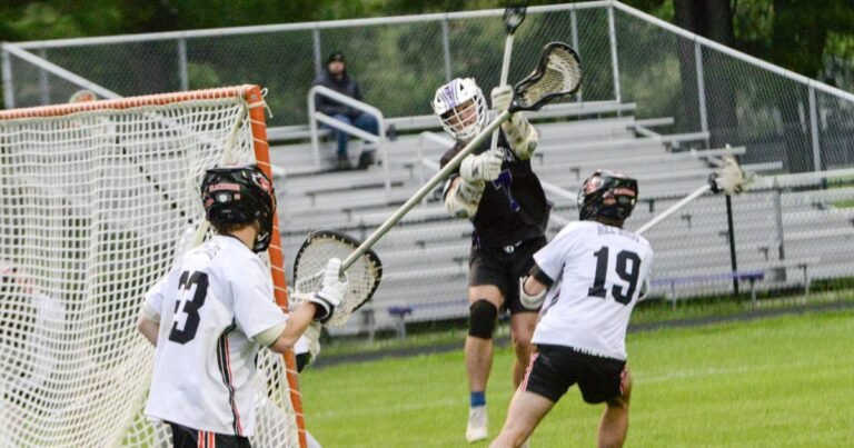 Bears cap season with Division 2 quarterfinal appearance