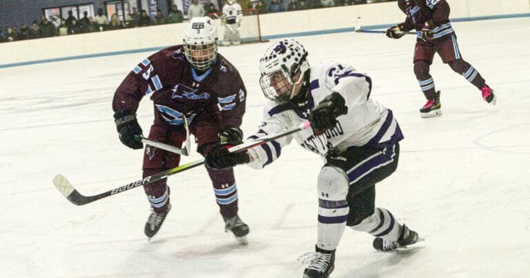 Bears hold off late Falcons rally, advance to D2 semifinals
